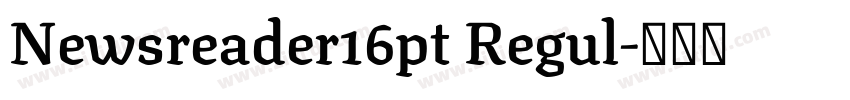 Newsreader16pt Regul字体转换